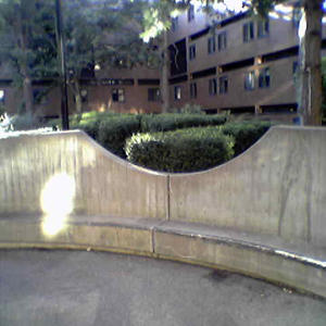 Ha! Nobody knows what's going on...