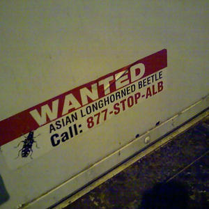 Is this a real thing?