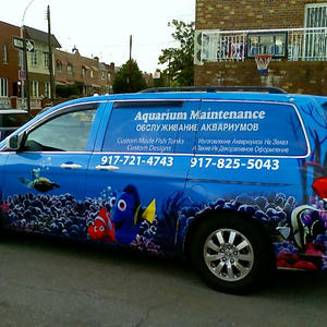 Unlicensed graphics?