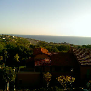 California dreamin' on such a winter's day.