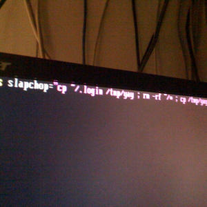 Slappin' your homedir away with the slapchop.